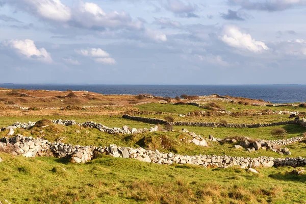 Pole farmy a záliv Galway s vegetací a kamennou stěnou — Stock fotografie