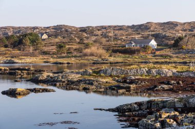 Plaj evleri, Bitki örtüsü ve Clifden körfezi çevresindeki kayalar