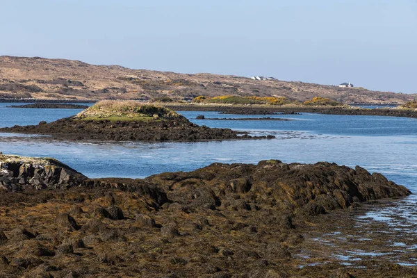 Zeewieren, boerderijen en vegetatie rond Bay — Stockfoto