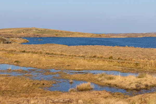 Bog Vegetací Jezerem — Stock fotografie