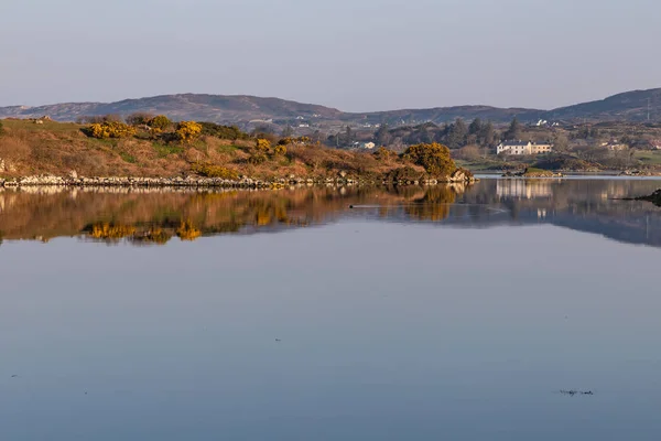 Clifden Bay çevresinde çiftlik evi ve bitki örtüsü — Stok fotoğraf