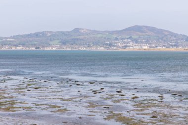 Howth ve Bull Adası rezervi