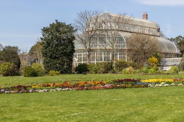 Çimen ve renkli çiçekler ile bahar bahçesi