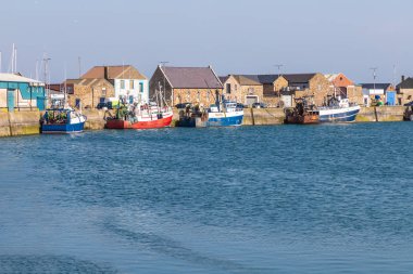 Howth İskelesi'nde tekneler ve Balık pazarı