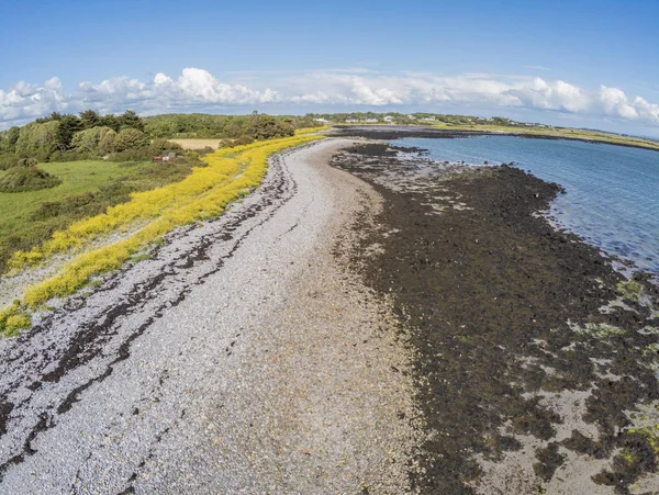 Galway körfezinde kayalık bir plaj ve çiftlik alanı havadan görünümü — Stok fotoğraf