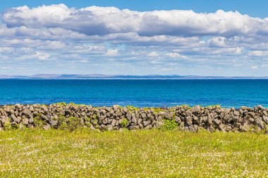 Inishm arka planda çiçekli alan ve okyanus ile taş duvar