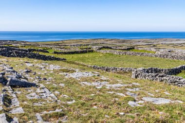 Inishmore arka planda taş duvar ve okyanus ile Çiftlikleri 