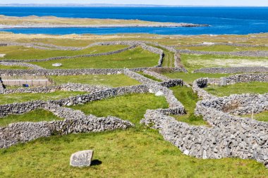 Arka planda taş duvarlar ve Galway körfezi ile çiftlik alanları