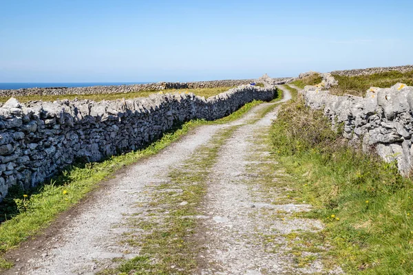 Дорога вокруг ферм с каменной стеной в Инишморе — стоковое фото