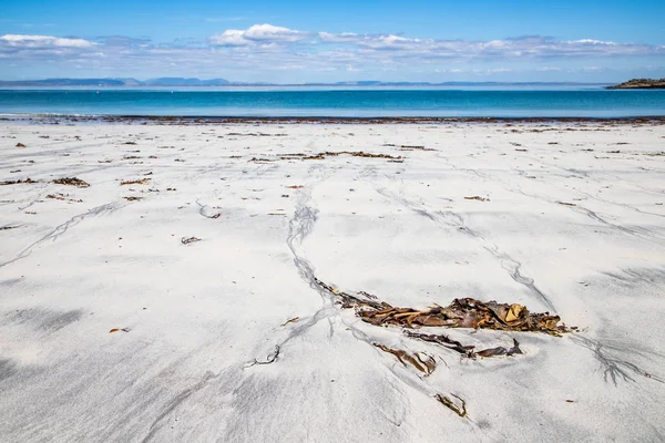 Strand met zand en zeewieren in Inishmore — Stockfoto