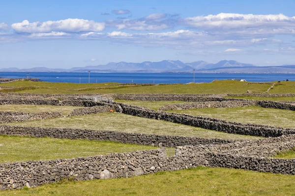 Boerderijen met stenen muur in Inishmore en Oceaan op de achtergrond — Stockfoto