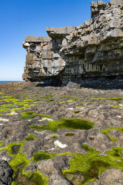 Cliffs  with green sea moss and ocean in Inishmore