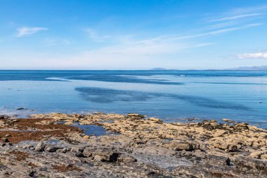 Inishmore arka plana koloni plaj ve Galway Körfezi Seal