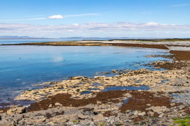 Inishmore arka plana koloni plaj ve Galway Körfezi Seal