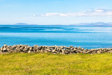 Arka planda kaya duvarları ve Galway Körfezi ile çiçekli çiftlik alanı
