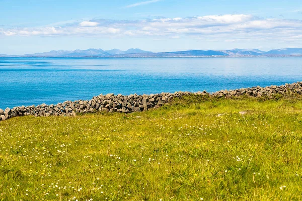 Flowered Farm campo com paredes de rocha e baía de Galway no fundo — Fotografia de Stock