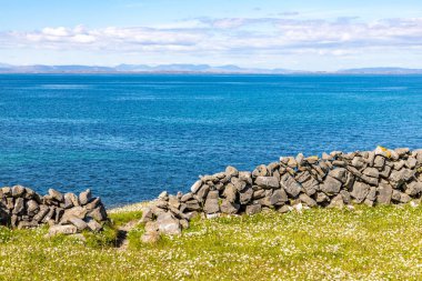 Arka planda taş duvar ve Galway Körfezi ile çiçekli çiftlik alanı