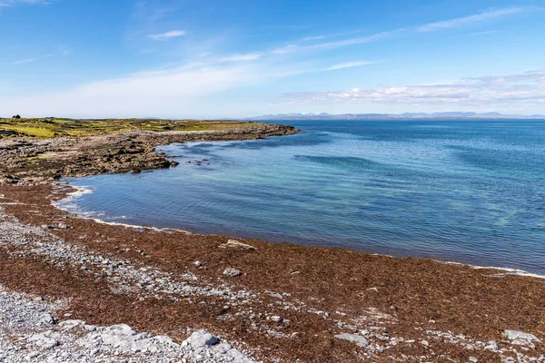 Tång och klippor i stranden i Inishmore — Stockfoto