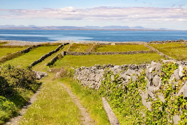 Boerderij veld met Galway Bay op de achtergrond in Inishmore — Stockfoto