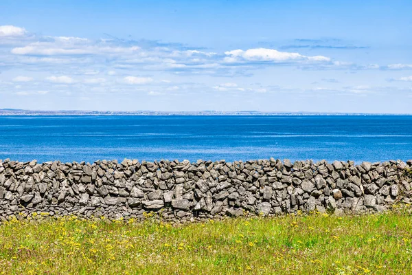 背景に石垣とゴールウェイ湾を持つ開花ファームフィールド — ストック写真