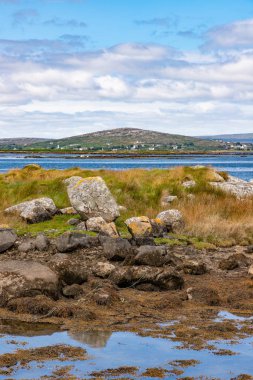 Carraroe düşük gelgit, yosun ve dağlar ile Bay