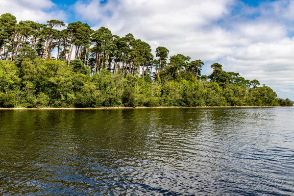 Foresta in Isola del Lough Corrib — Foto Stock