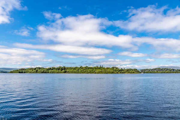 Lough Corrib Adası'ndaki Orman