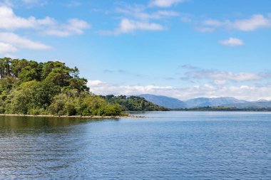 Backgroun Conemara dağları ile Inchagoill Adası'nda Orman