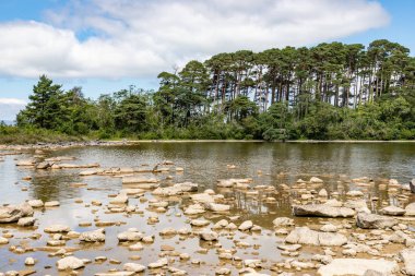 Inchagoill Adası'nda plaj ve orman 