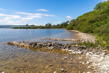 Inchagoill Adası'nda plaj ve orman 