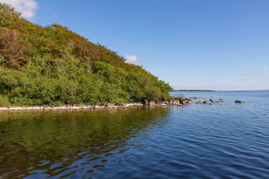 Lough Corrib gölü çevresindeki orman