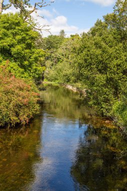 Yansımaları ile nehir ve orman