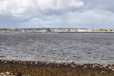 Arka planda Galway şehir ile Hare Adası'nda Kayalar ve weaweeds