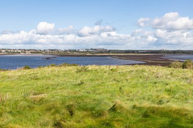 Arka planda Galway şehir ile Hare Adası'nda Bitki Örtüsü
