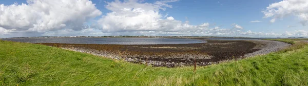 Panorama met vegetatie in hare Island met Galway City aan de achterkant — Stockfoto