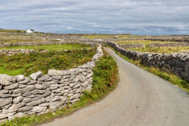 Inisheer Adası 'nda taş duvarları ve tarım arazileri olan bir yol.