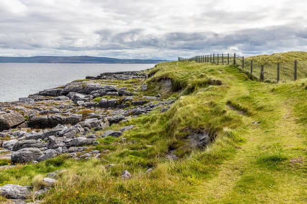 Sendero con rocas y campo en la isla de Inisheer con burren en bac —  Fotos de Stock