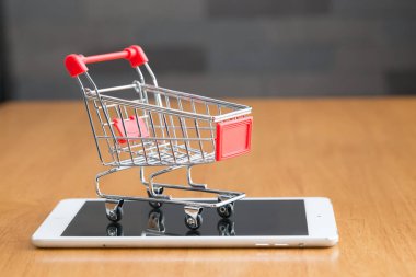 Tavuk çiftliği, tavuk kırsal çiftlik