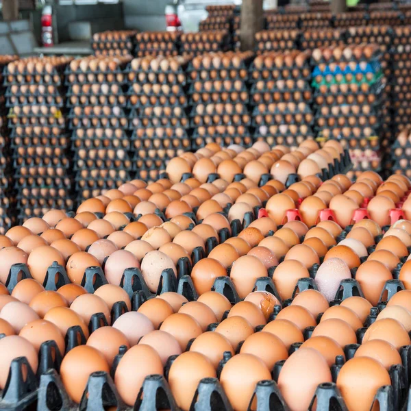 Eier Von Hühnerfarm Paket — Stockfoto