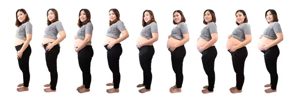 亚洲女性在怀孕阶段被查出在白色背景 在怀孕的女性身体的变化从第一个月到九个月 — 图库照片
