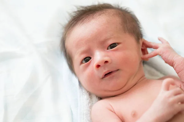 Closeup Asian Newborn Baby Boy — Stok Foto