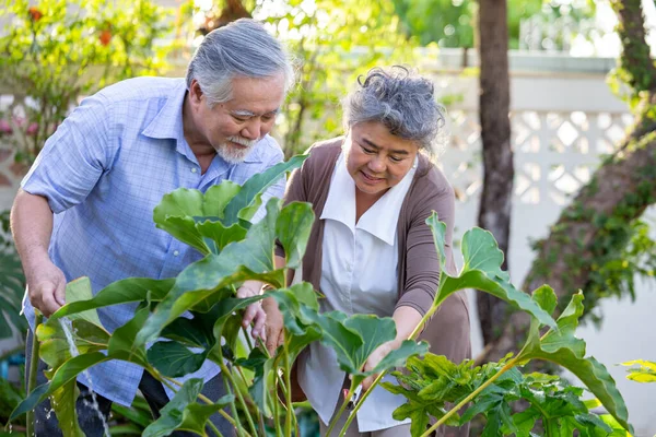 Sonriente Pareja Madura Comprometida Regar Planta Jardín Frente Casa Asiático — Foto de Stock