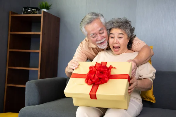 Ασιατικό Ζευγάρι Ηλικιωμένων Κουτί Δώρου Στο Σπίτι Επέτειος Χριστούγεννα Έννοια — Φωτογραφία Αρχείου