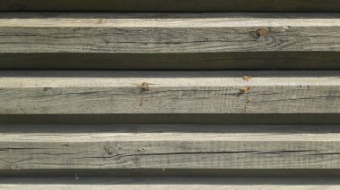 eski ahşap duvar. Vintage artalanları