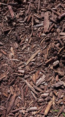 ahşap talaş doku arka plan