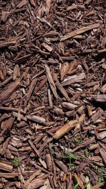 Kırmızı bir ağaç kabuğu parçaları