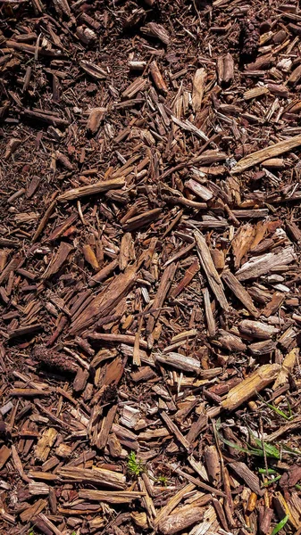 Bark Wood Chips Background — Stock Photo, Image