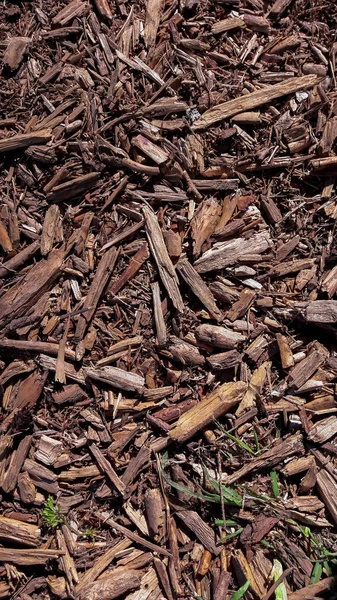 Kırmızı bir ağaç kabuğu parçaları