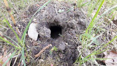 Fare deliği alanında