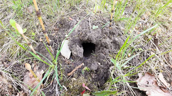 Fare deliği alanında